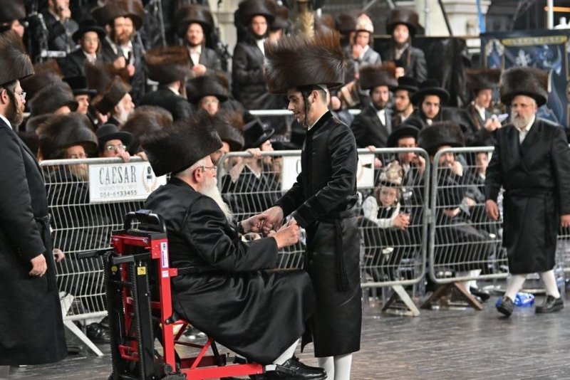 יהושע פרוכטר