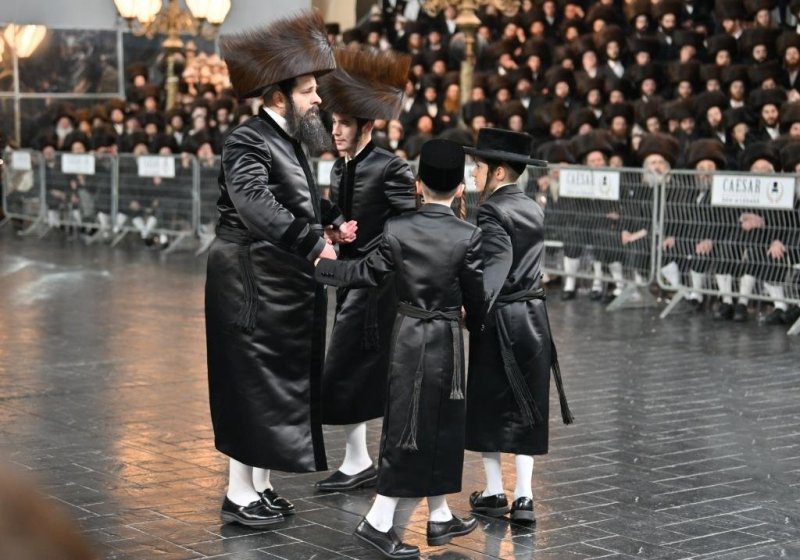 יהושע פרוכטר