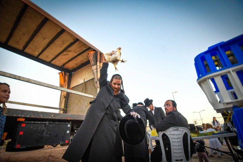 ארי קופרשטוק