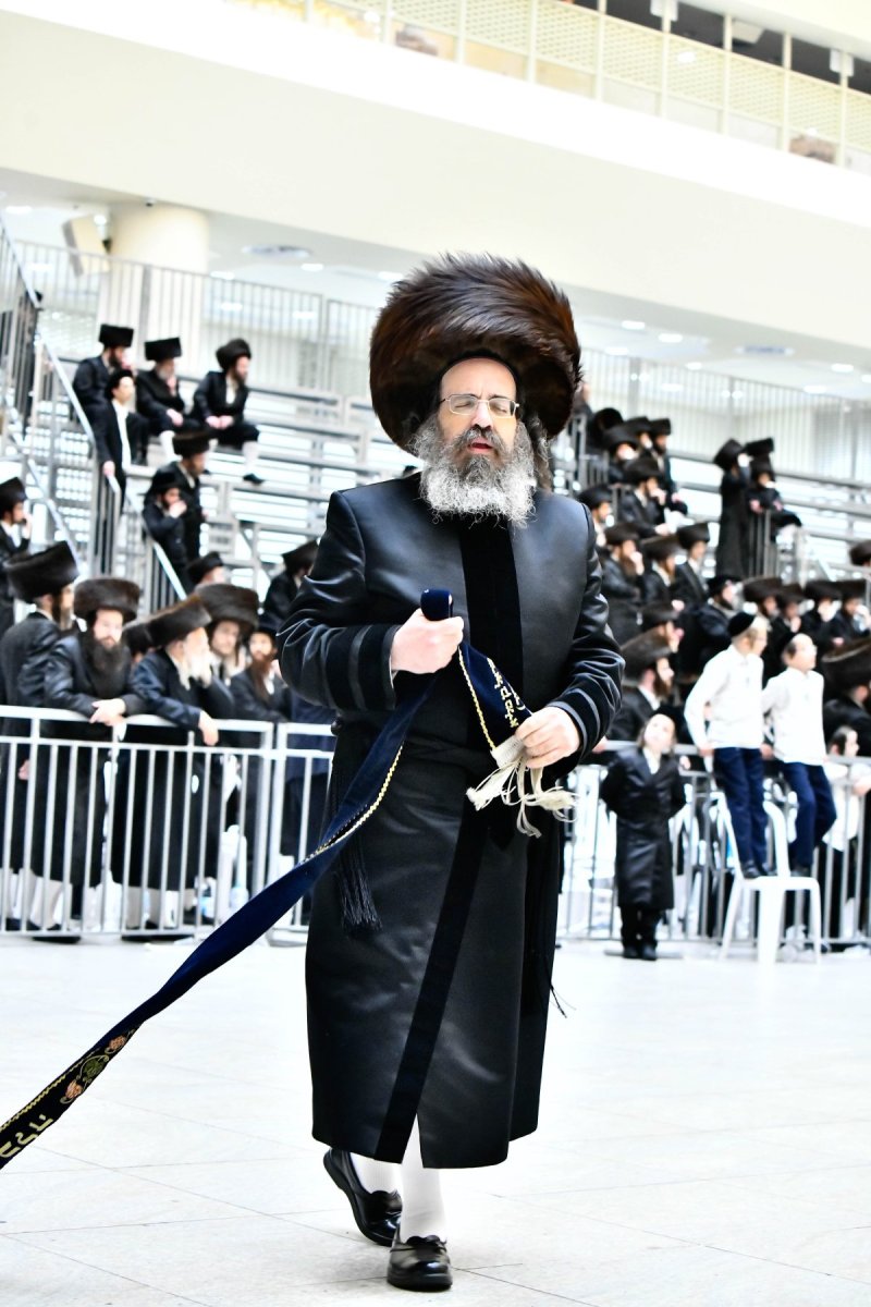 שוקי לרר