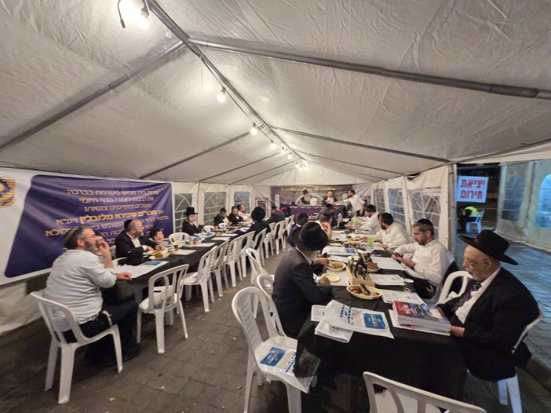 אלחנן קוטלר