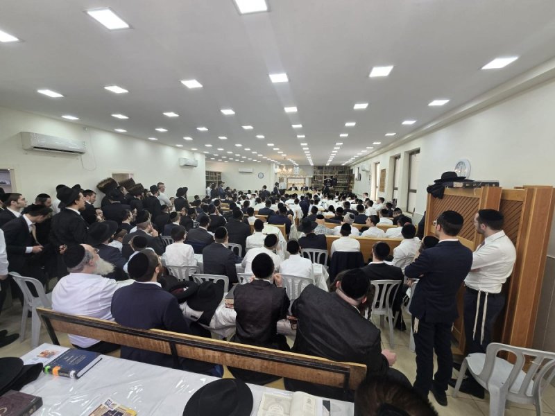 באדיבות המצלם