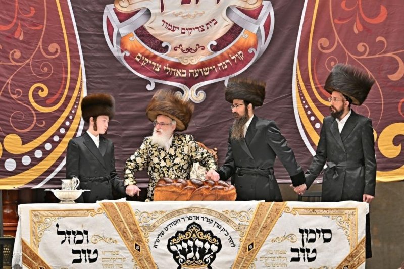 יהושע פרוכטר