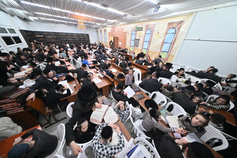 יהושע פרוכטר