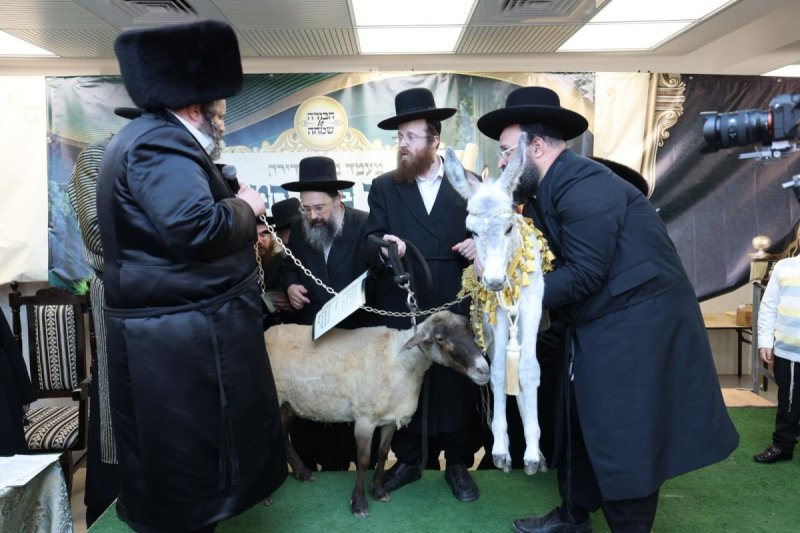 באדיבות המצלם