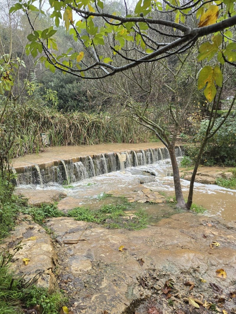 גיא אל בוחר רשות הטבע והגנים