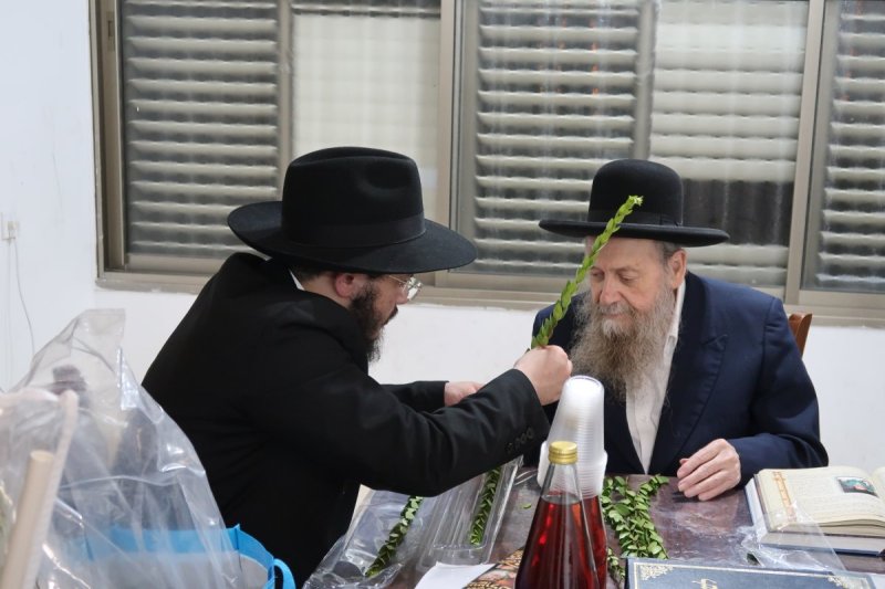 י. פריד