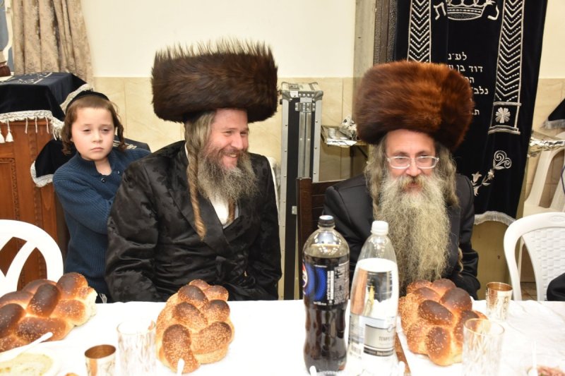 יהודה פרקוביץ