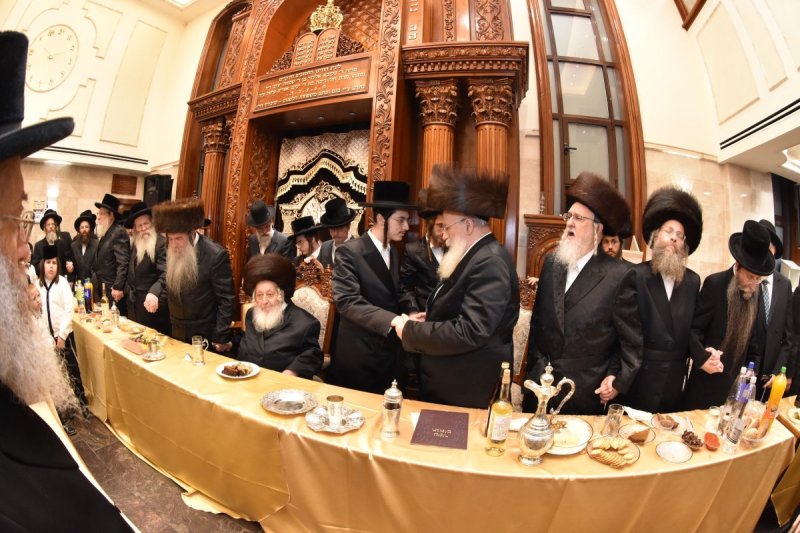 יהודה פרקוביץ