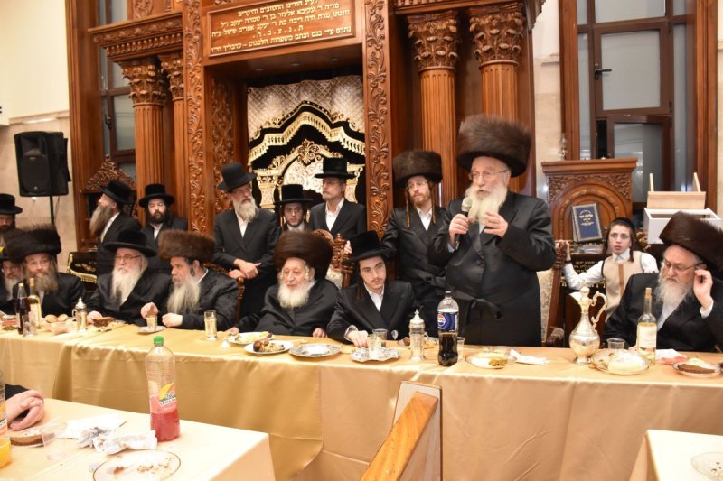 יהודה פרקוביץ