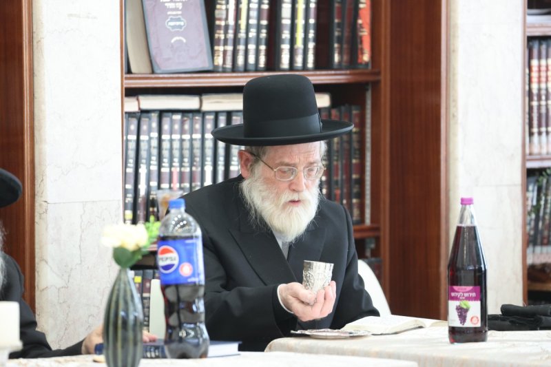 שלומי טריכטר