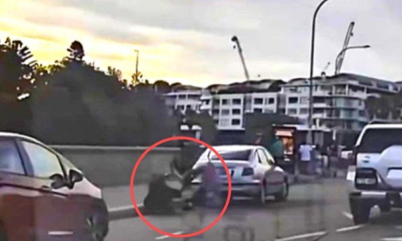 גבורה עילאית: זוג יהודים ניסה לנטרל את המחבל ונרצח