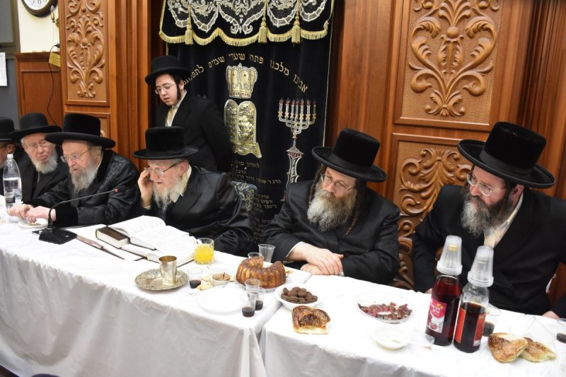 יהודה פרקוביץ