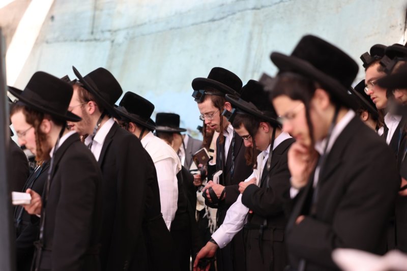 דוד כהן