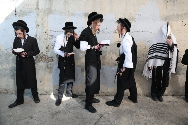 דוד כהן