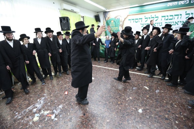 דוד כהן