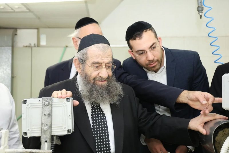 נועם אליהו