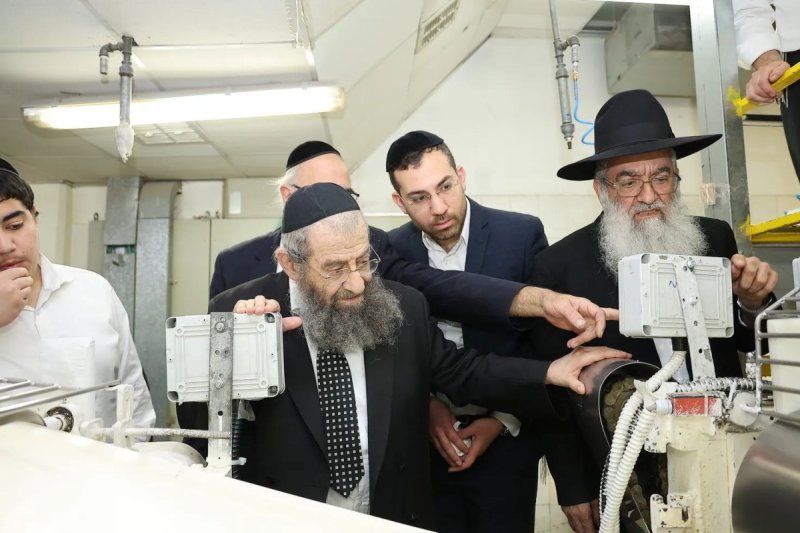 נועם אליהו