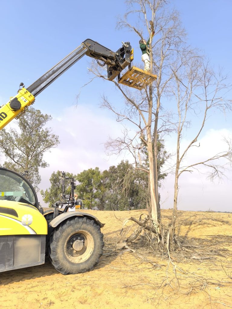 מידד גורן, החברה להגנת הטבע