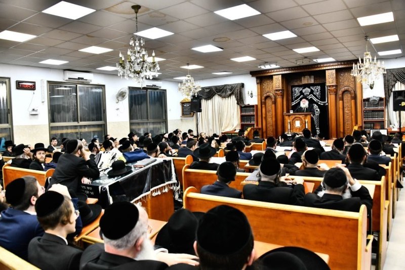 שוקי לרר
