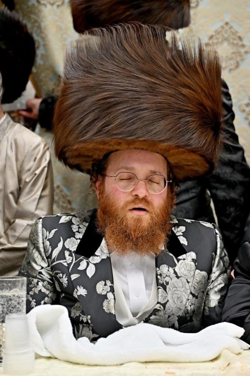 יהושע פרוכטר