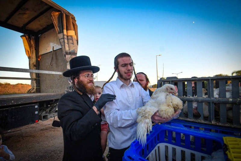 ארי קופרשטוק