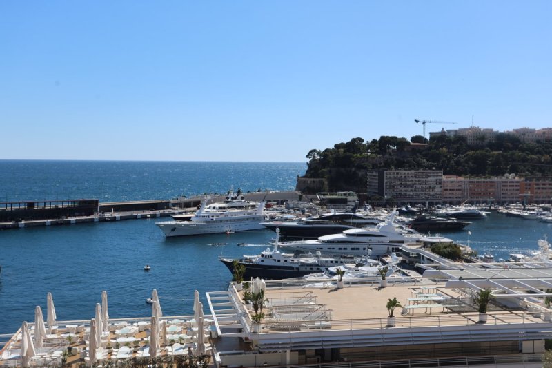 מרדכי לובעצקי