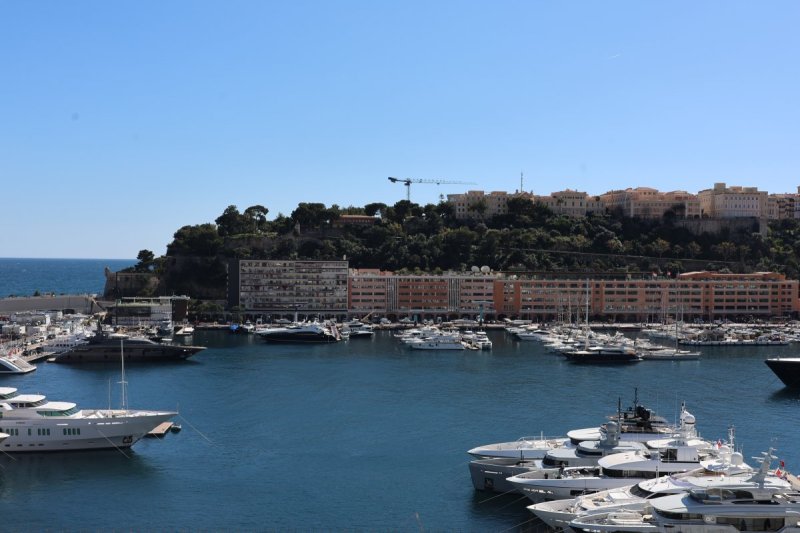 מרדכי לובעצקי