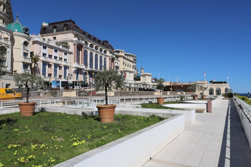 מרדכי לובעצקי