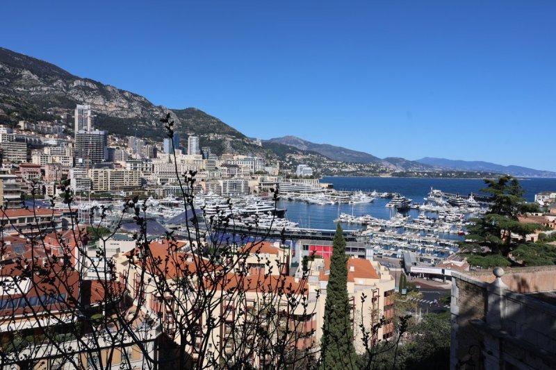 מרדכי לובעצקי