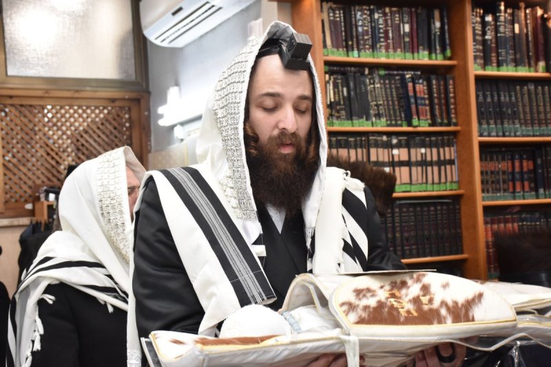 יהודה פרקוביץ