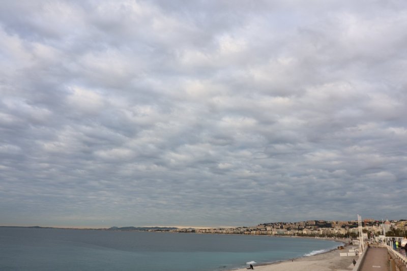 מרדכי לובעצקי