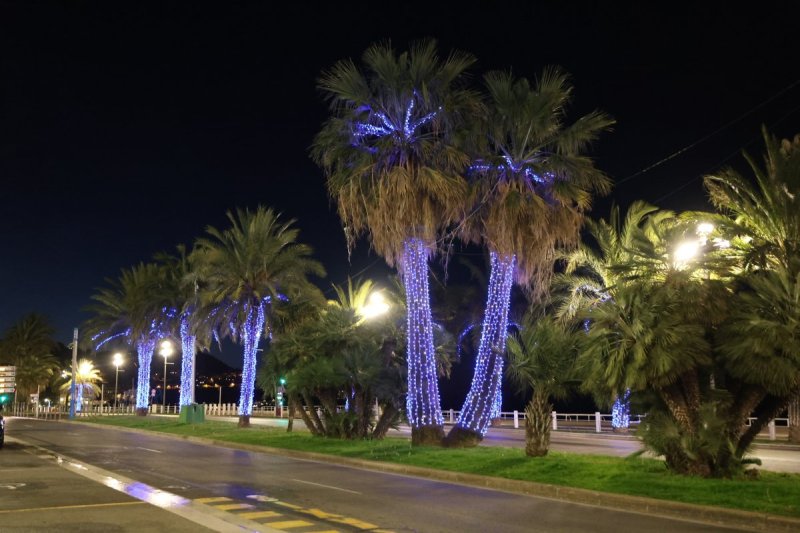 מרדכי לובעצקי