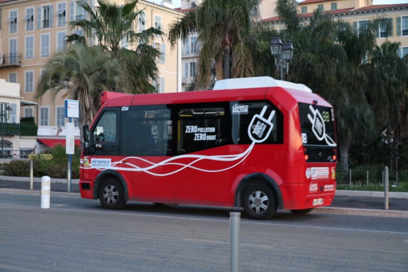 מרדכי לובעצקי