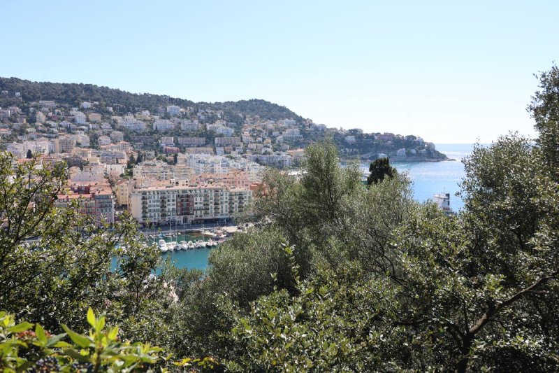 מרדכי לובעצקי