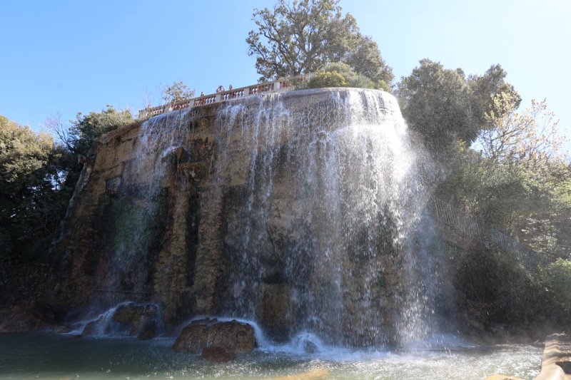 מרדכי לובעצקי