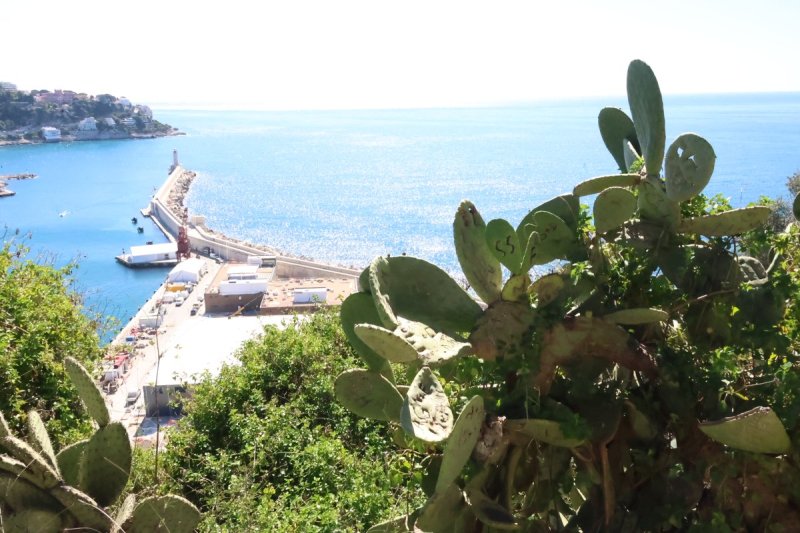 מרדכי לובעצקי