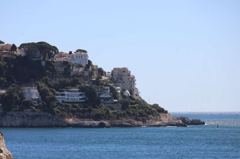 מרדכי לובעצקי