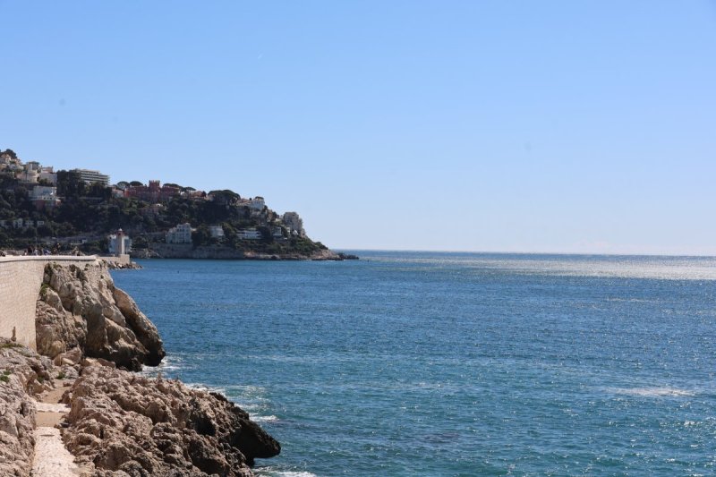 מרדכי לובעצקי