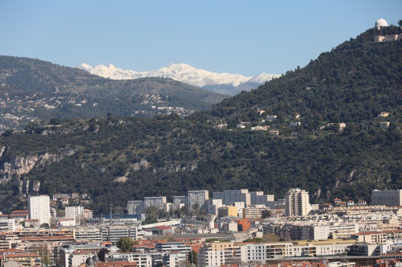 מרדכי לובעצקי