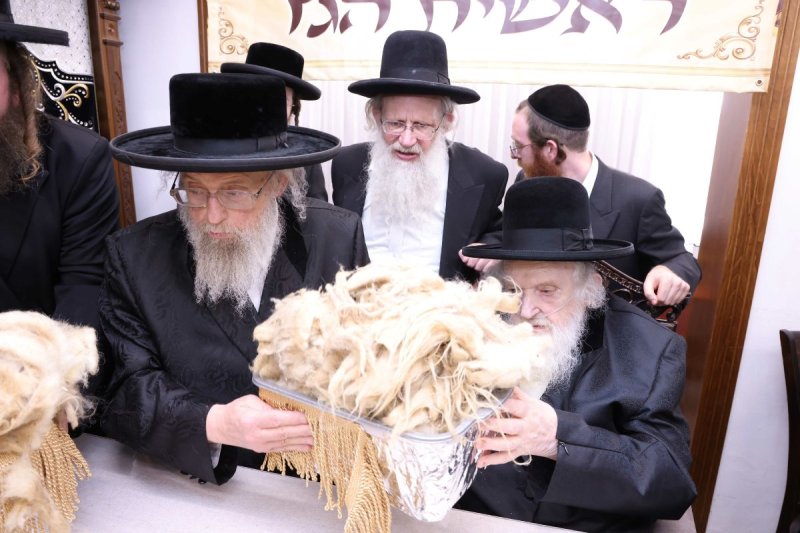 שמואל דריי