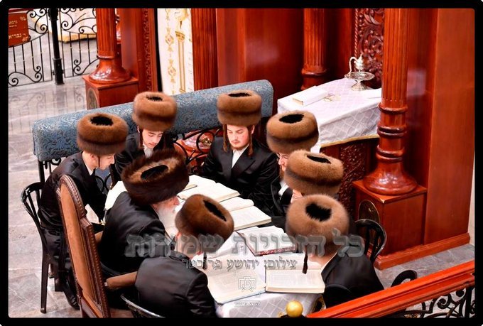 יהושע פרוכטר