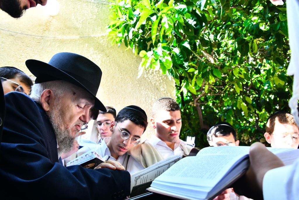 שוקי לרר