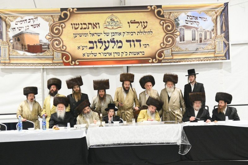 ארי קופרשטוק