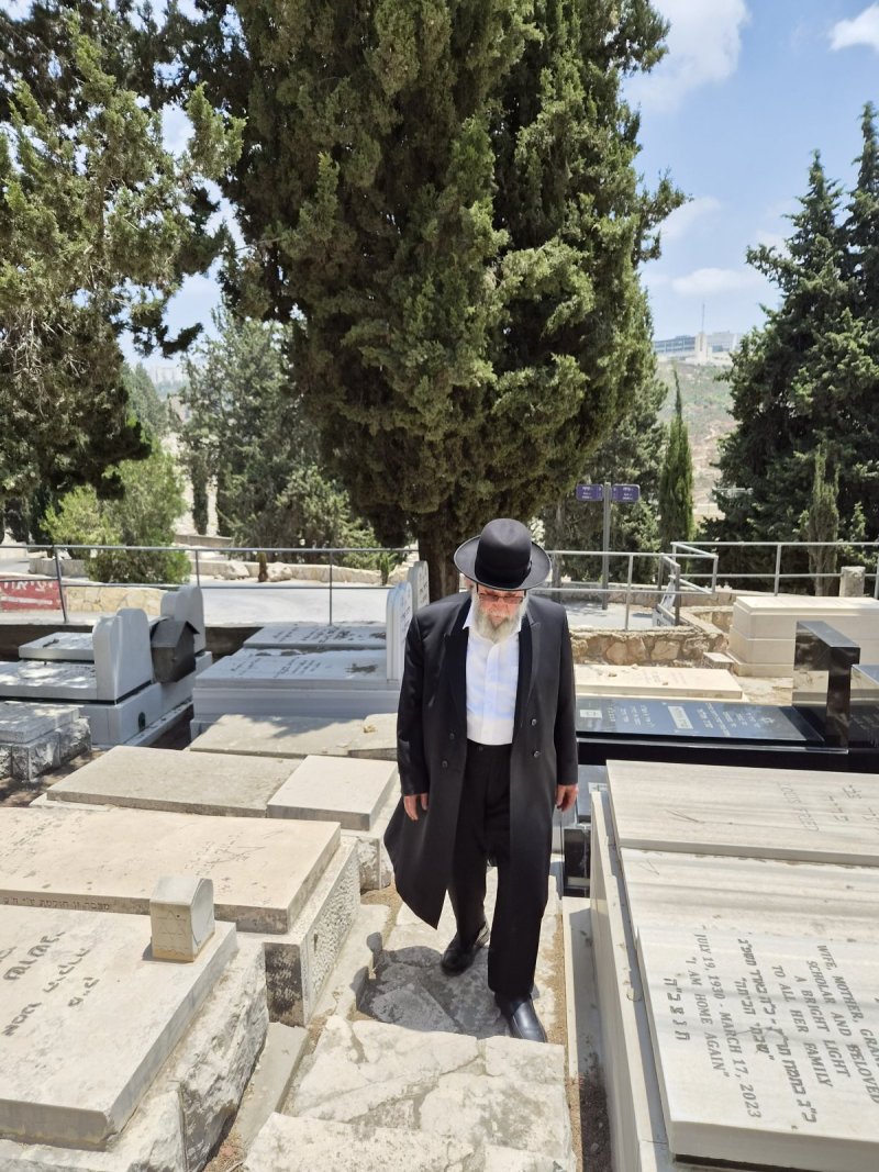 דניאל צרפתי