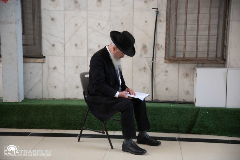 עזרא טרבלסי