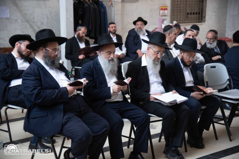 עזרא טרבלסי