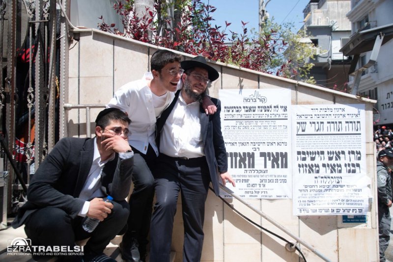 עזרא טרבלסי