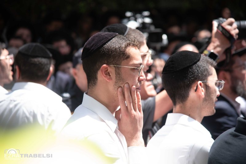 עזרא טרבלסי