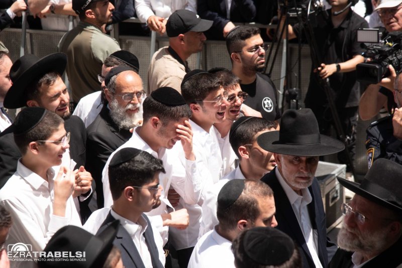 עזרא טרבלסי